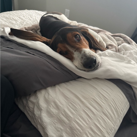 Meet your Posher, Megan - Picture 1 of 1